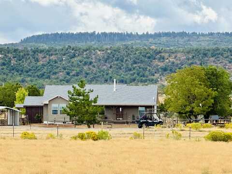 16321 Elk Drive, Glade Park, CO 81523