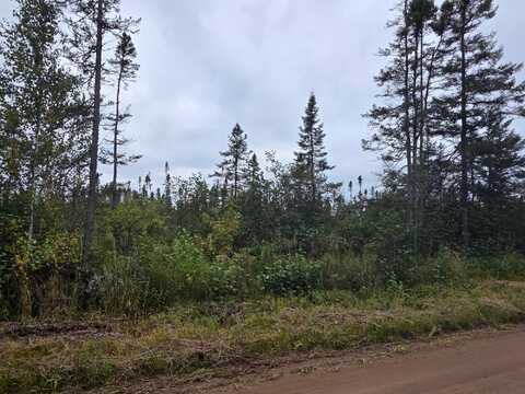 ---- WILSON SCHOOL RD, Tomahawk, WI 54487