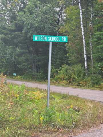---- WILSON SCHOOL RD, Tomahawk, WI 54487