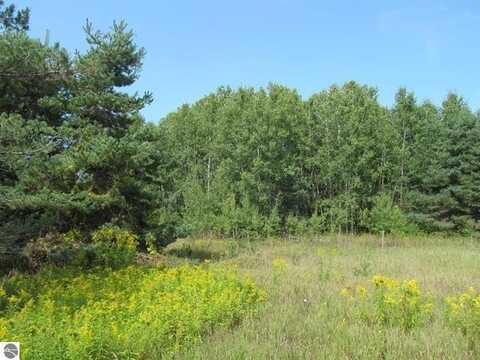 0 E M-55 Highway, Cadillac, MI 49601