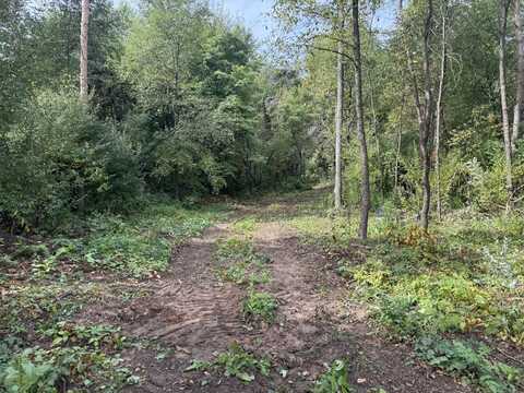 0 Cr-388, Gobles, MI 49055