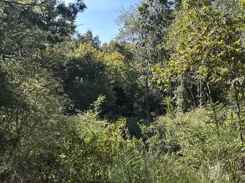 000 Highway 142 West, Thayer, MO 65791