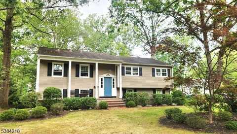 2 Hadley Way, Morris, NJ 07960