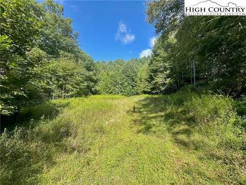 Tbd Old Anderson Quarry Road, Vilas, NC 28692