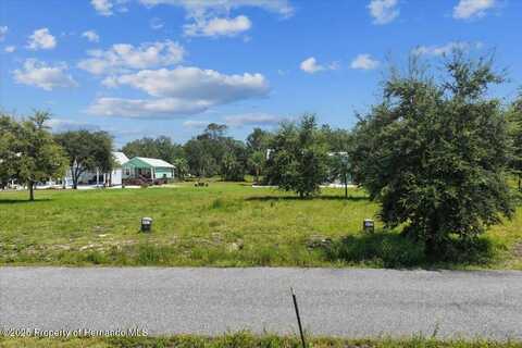 SW 869th Loop, Steinhatchee, FL 32359