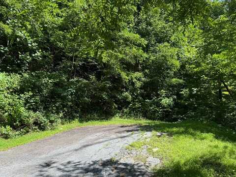 57 Mossy Cup Ct. Court, Tuckasegee, NC 28783