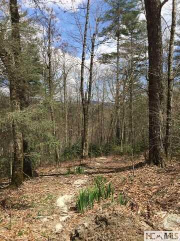 42 Tarragon Drive, Cashiers, NC 28717