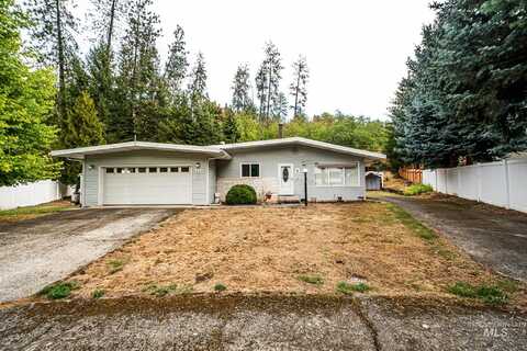 110 Nez Perce Court, Orofino, ID 83544