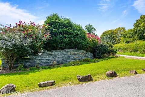 Lot 400 Chimney Rock RD Rd, New Tazewell, TN 37825