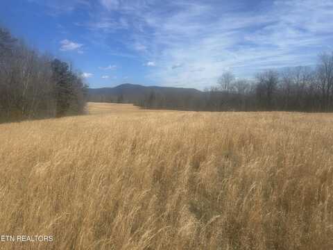 Ruppe Rd, Oakdale, TN 37829