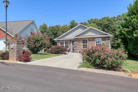 1826 Watauga St, Sevierville, TN 37876