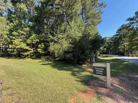 1320 FAIRWAY RIDGE DRIVE, Greensboro, GA 30642