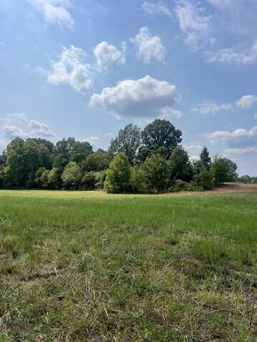 TRACT 4 ANDREW, Unincorporated, TN 38049