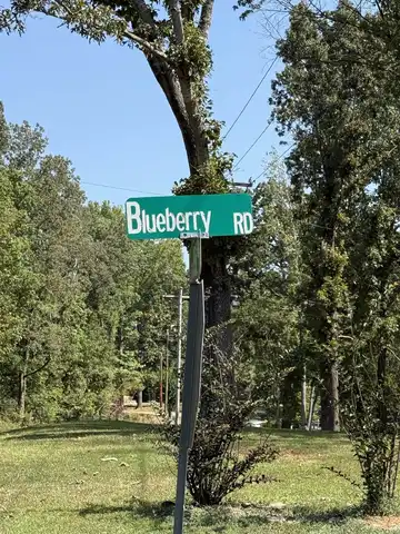 120 BLUEBERRY, Eads, TN 38028