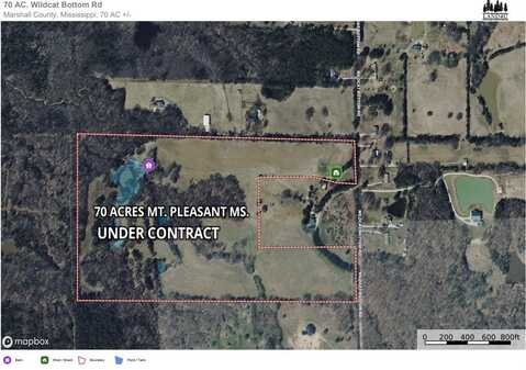 70 WILDCAT BOTTOM, Red Banks, MS 38661
