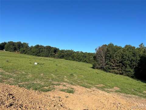 Lot 24 HOLT SUMMIT Court, Wentzville, MO 63385