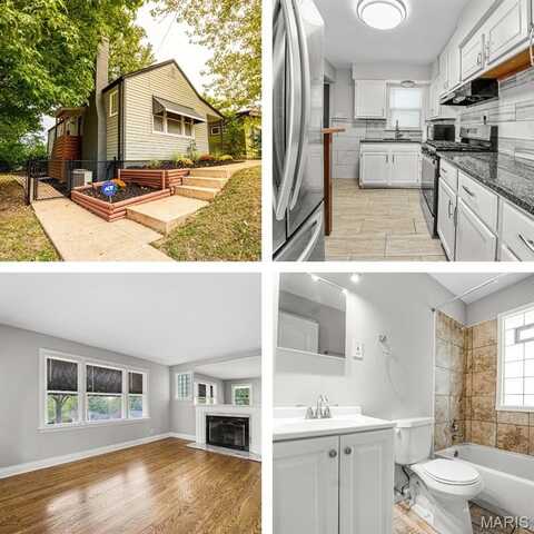 804 Marion Place, Saint Louis, MO 63135