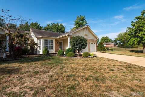 10809 Concord Circle Drive, Saint Louis, MO 63123