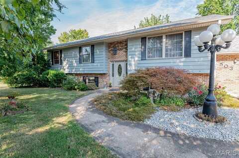 503 Saint Francis Circle, Saint James, MO 65559