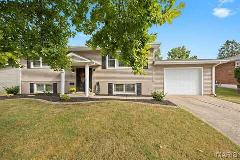 803 Pennsylvania Street, Collinsville, IL 62234