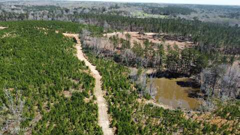 0 Highway 478, New Hebron, MS 39140