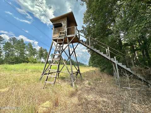 3 Dry Grove Road, Terry, MS 39170