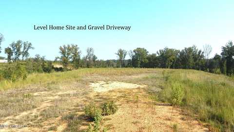 85 Storm Cove, Grenada, MS 38901
