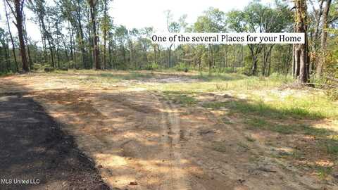 2380 213 Country Road, Grenada, MS 38901