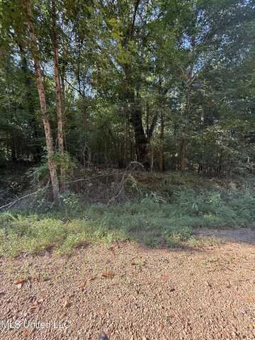 236 Hideaway Hills Rd, Coldwater, MS 38618