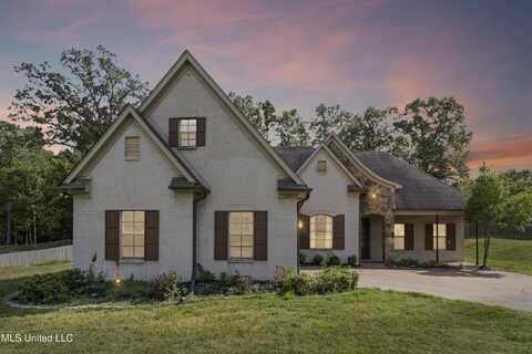 10237 Cypress Plantation Drive, Olive Branch, MS 38654