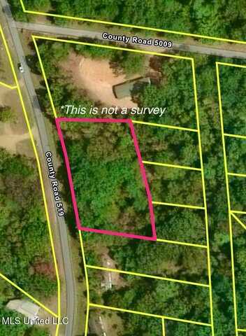 County Rd 519, Como, MS 38619