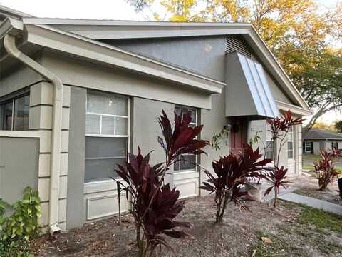 11717 RAINTREE DRIVE, TAMPA, FL 33617