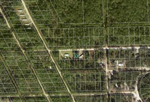 711 HICKORY NUT TRAIL, SATSUMA, FL 32189