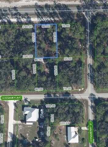 3226 LAKE JUNE BOULEVARD, LAKE PLACID, FL 33852