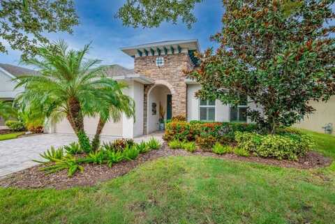 6005 BURROWING OWL PLACE, LITHIA, FL 33547