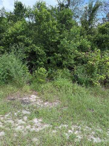 3699 DOTHAN AVENUE, SPRING HILL, FL 34609