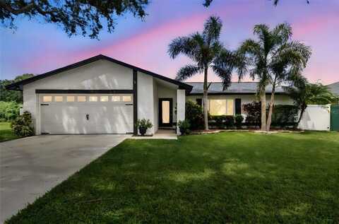 17630 MEADOWBRIDGE DRIVE, LUTZ, FL 33549