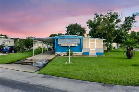 904 BLUE HERON BOULEVARD, OSTEEN, FL 32764