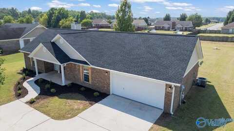 552 Hills Chapel Road, Hazel Green, AL 35750