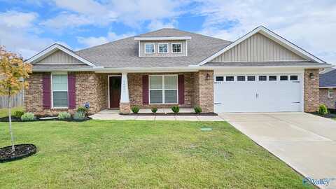 14406 Wildflower Drive, Harvest, AL 35749