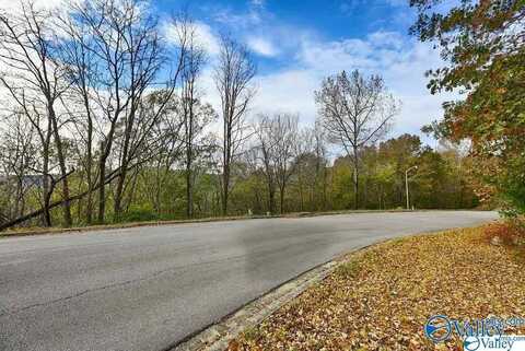15036 Greentree Trail SE, Huntsville, AL 35803
