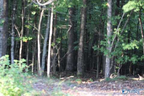 1805 County Road 103, Mentone, AL 35984