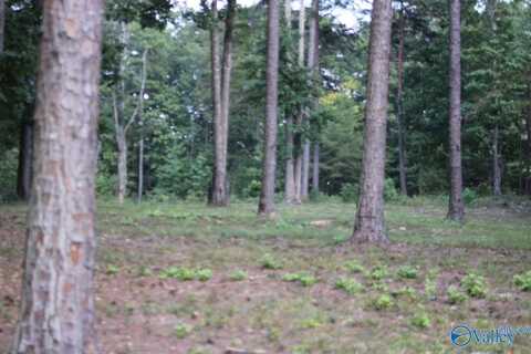 1805 County Road 103, Mentone, AL 35984