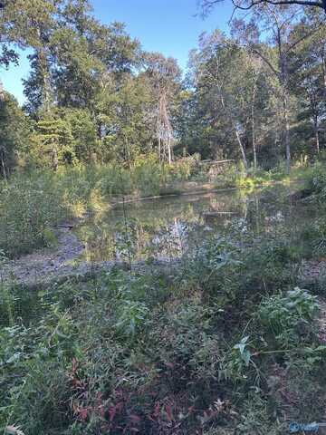 135 N Maddox Road, Piedmont, AL 36272