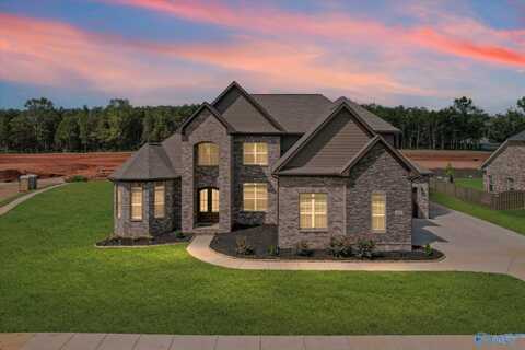 101 Lomond Branch, Madison, AL 35756