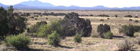 2978 S Lowell Drive, Williams, AZ 86046