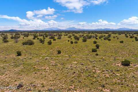 4441 Indian Meadows Road, Williams, AZ 86046