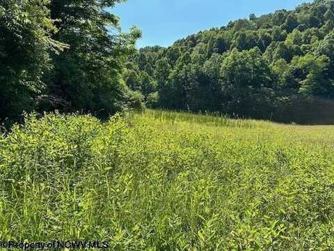 326 Joes Run Road, Mannington, WV 26582