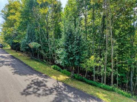 Lot 32 Westside Drive, Blairsville, GA 30512