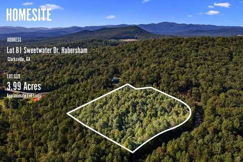 3.99 Ac Sweetwater Drive, Clarkesville, GA 30523